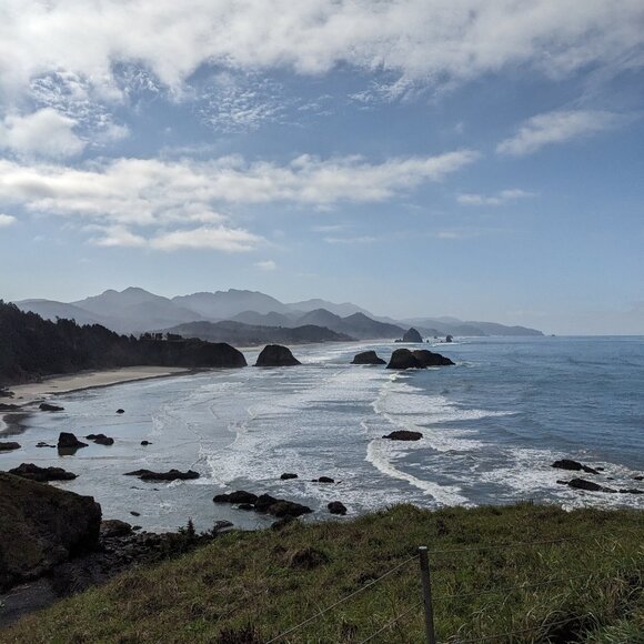 Meet your Posher, Paolo - Picture 1 of 1